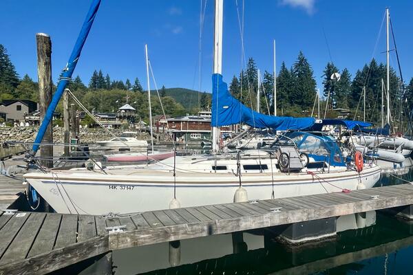 Pegasus 36ft Catalina Yacht For Sale