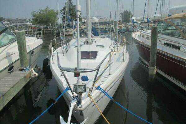 Photo of the 1999 Catalina 36 MKII "Snow Bird"