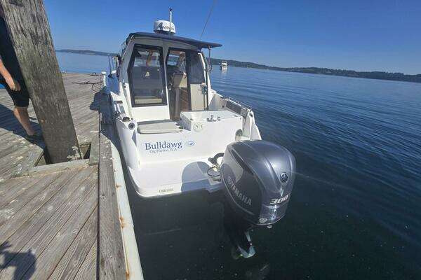 Photo of the 2017 Cutwater C-24 "BULLDAWG"