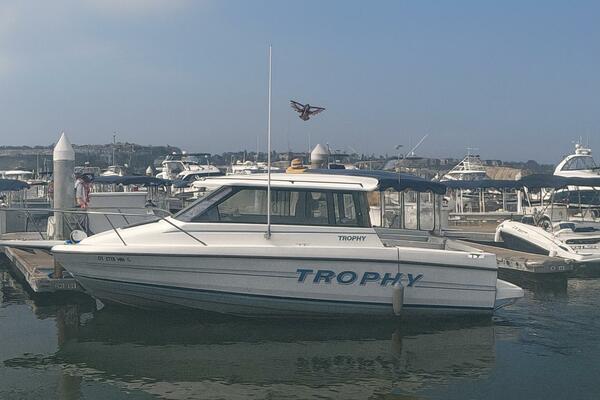 Ted S Toy 21ft Bayliner Yacht For Sale