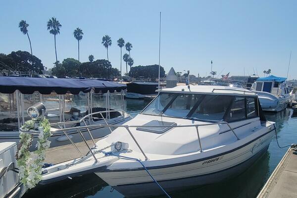 Ted S Toy 21ft Bayliner Yacht For Sale
