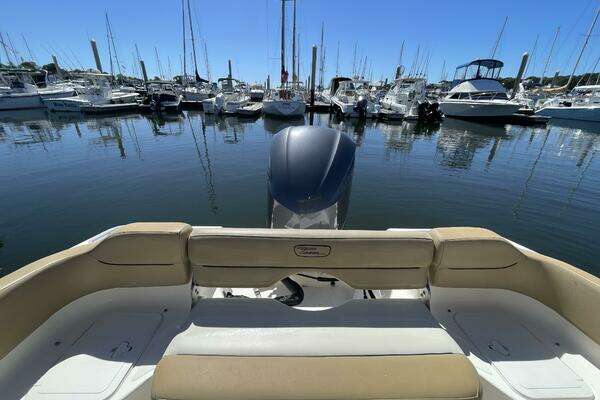 Photo of the 2017 Pioneer 222 Islander