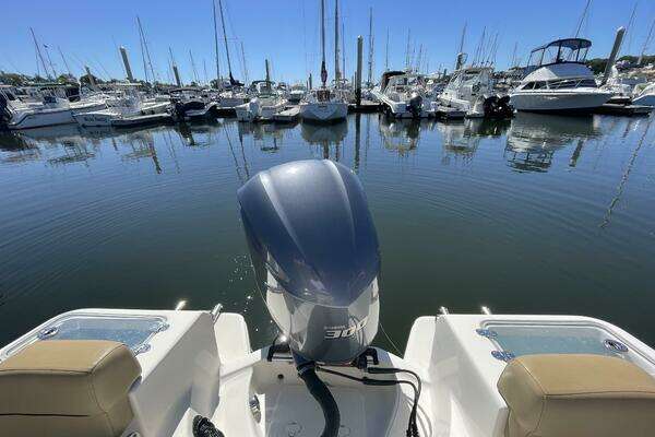 Photo of the 2017 Pioneer 222 Islander