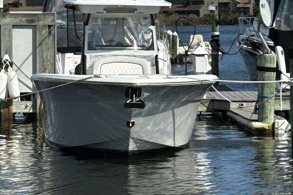 Photo of the 2021 Sea Fox 288 Commander