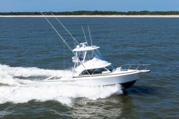 36' Bertram