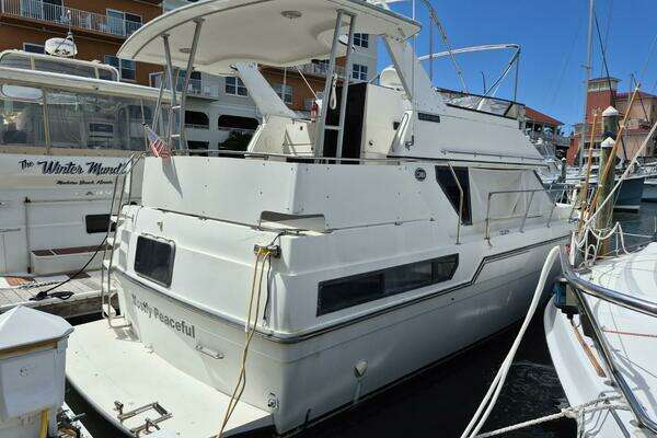 Photo of the 1991 Carver 