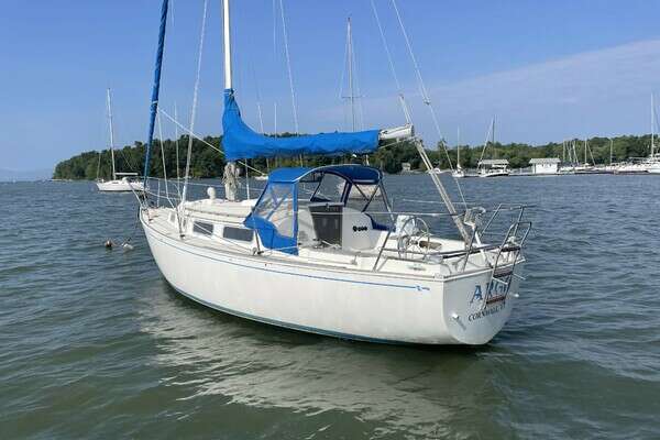 28-ft-Sabre-1978--ARGO Charlotte Vermont United States  yacht for sale