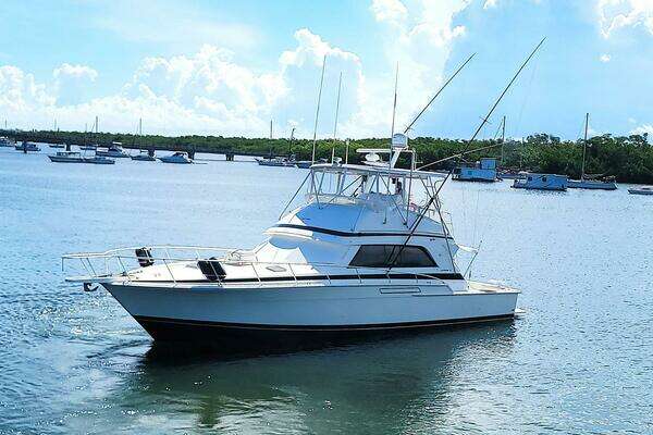 1989 Bertram 50