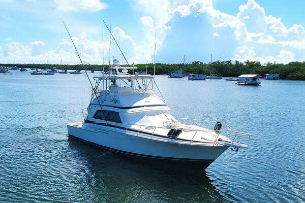 1989 Bertram 50