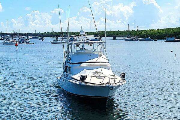 Photo of the 1989 Bertram 50 Convertible "Trophy Hunter"