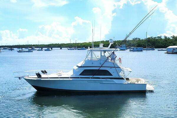 Photo of the 1989 Bertram 50 Convertible "Trophy Hunter"