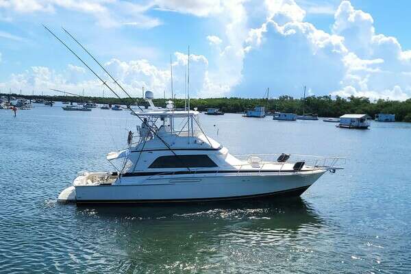 50-ft-Bertram-1989-50 Convertible-Trophy Hunter Marathon Florida United States  yacht for sale