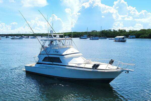 Photo of the 1989 Bertram 50 Convertible "Trophy Hunter"