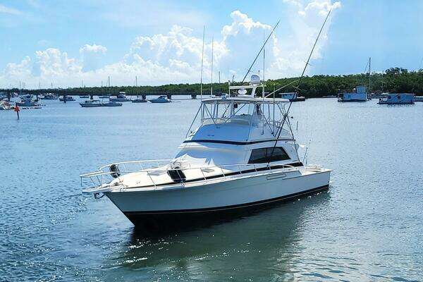Photo of the 1989 Bertram 50 Convertible "Trophy Hunter"