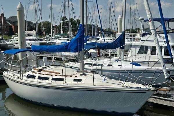 Photo of the 1986 Catalina Tall Rig "Credo"