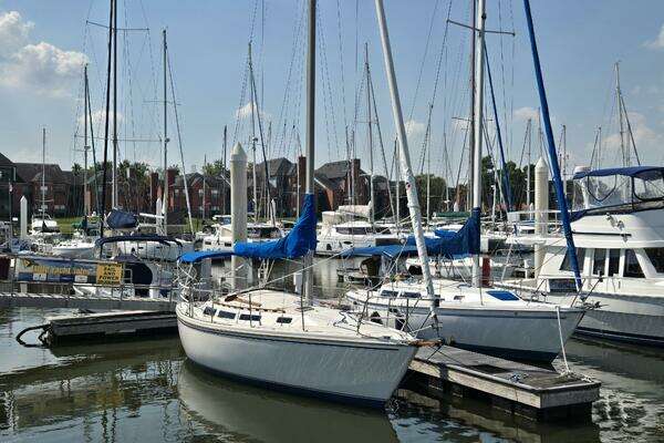 Photo of the 1986 Catalina Tall Rig "Credo"