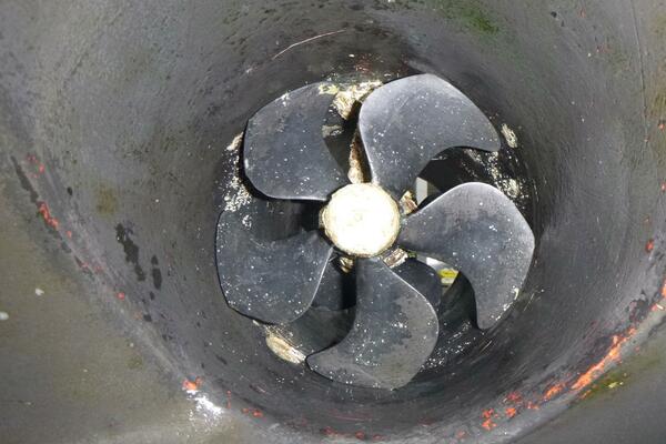 Habeas Orcas 62ft Pershing Yacht For Sale