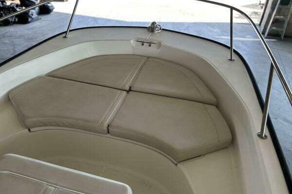 Photo of the 2020 Boston Whaler 