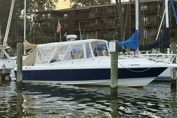 Photo of the 2000 Intrepid 356 Cuddy