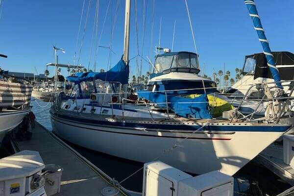 42-ft-Tayana-1986-V42-Southern Cross San Diego California United States  yacht for sale