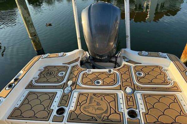 Photo of the 2018 Sea Hunt BX 25 FS