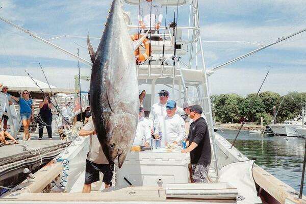 Photo of the 2014 Release Walkaround "DOUBLE DOWN"