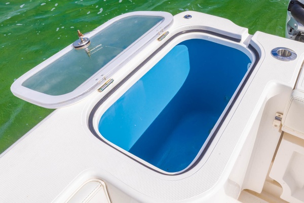 Big B 43ft BlackWater Yacht For Sale