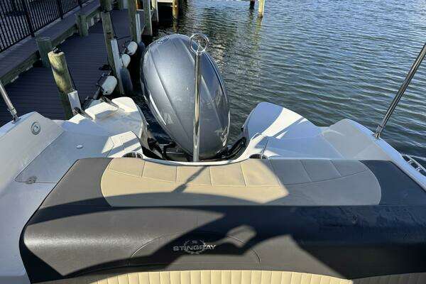 Photo of the 2019 Stingray 234LR