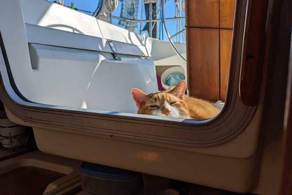 Larose des Vents V 33ft Hunter Yacht For Sale