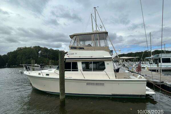 34-ft-Sabreline-1994-Sedan Flybridge-Danu Chestertown Maryland United States  yacht for sale