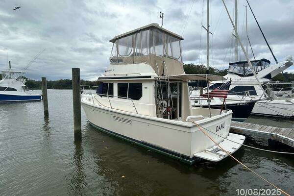 Photo of the 1994 Sabreline Sedan Flybridge "Danu"