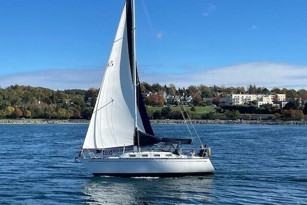 28ft Tartan Yacht For Sale