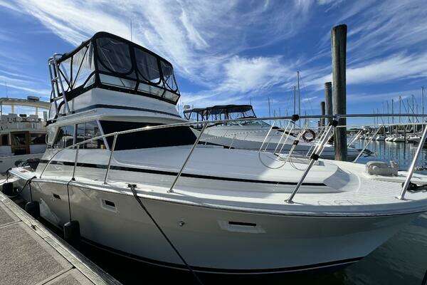 Photo of the 1979 Viking 35 Convertible