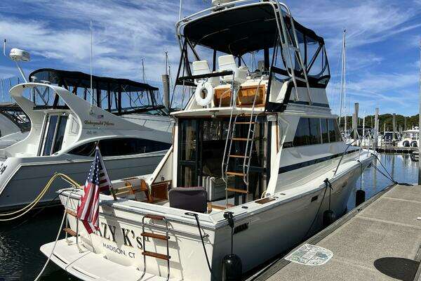 Photo of the 1979 Viking 35 Convertible