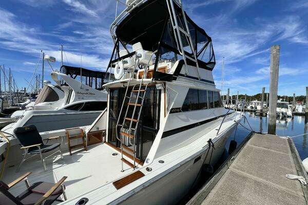 Photo of the 1979 Viking 35 Convertible