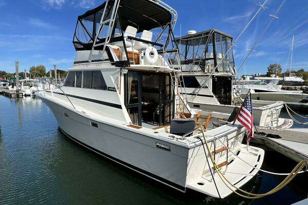 Photo of the 1979 Viking 35 Convertible