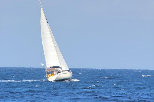 KAHU 41ft Sigma Yacht For Sale