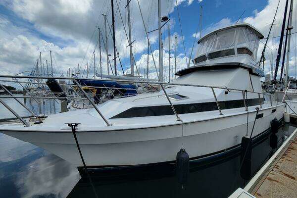 38-ft-Mediterranean-1992-38-Tasty Waves Saint Petersburg Florida United States  yacht for sale 38-ft-Mediterranean-1992-38-Tasty Waves Saint Petersburg Florida United States  yacht for sale