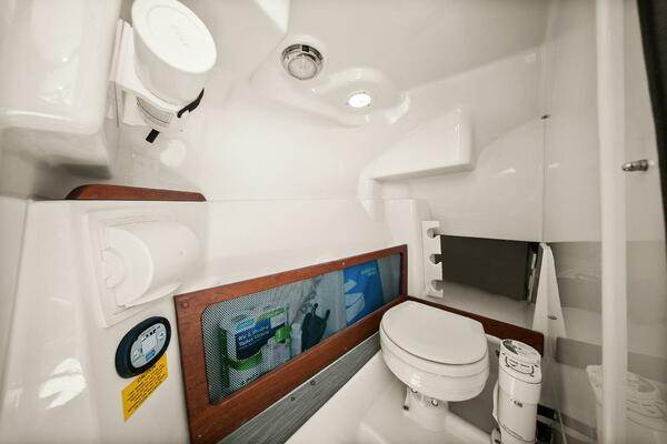 Grady White 275 Freedom 2025 - Head