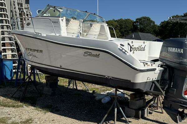 Photo of the 2004 Seaswirl Striper "Spoiled"