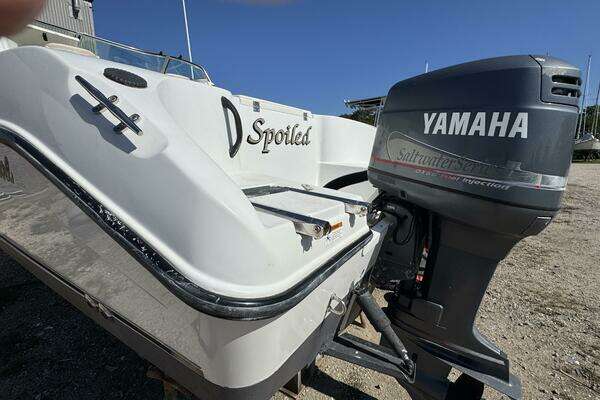Photo of the 2004 Seaswirl Striper "Spoiled"