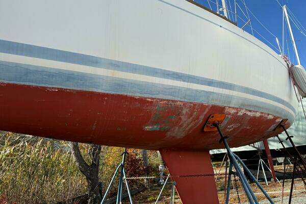 Photo of the 1986 Alsberg Brothers Express 37 "Shadowfax"