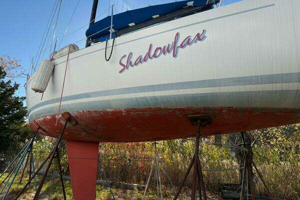 Photo of the 1986 Alsberg Brothers Express 37 "Shadowfax"