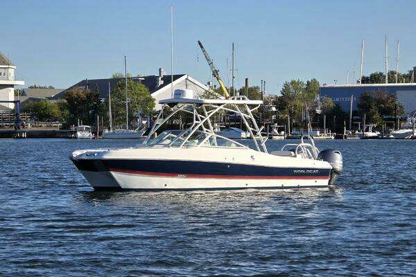 Photo of the 2024 World Cat 