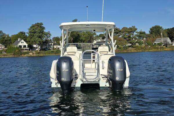 Photo of the 2022 World Cat 