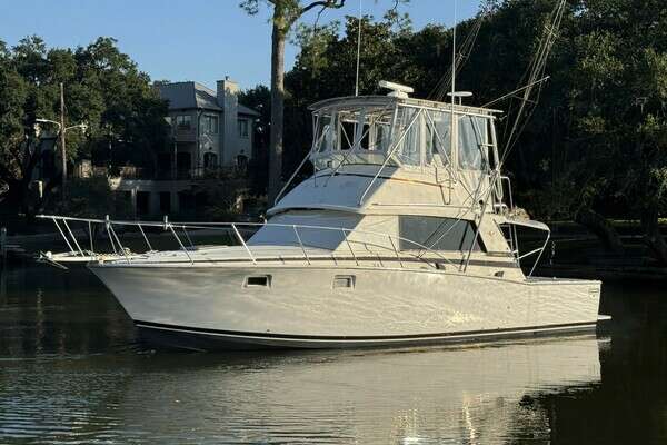 38-ft-Bertram-1979-38 Convertible- Pascagoula Mississippi United States  yacht for sale