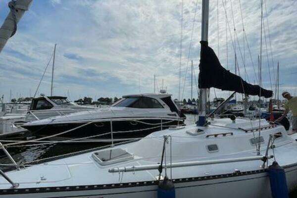 Photo of the 1992 Tartan Thomas "Seaguel"