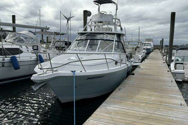 Photo of the 2005 Pro-Line 