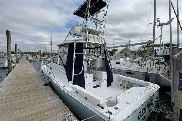 Photo of the 2005 Pro-Line 