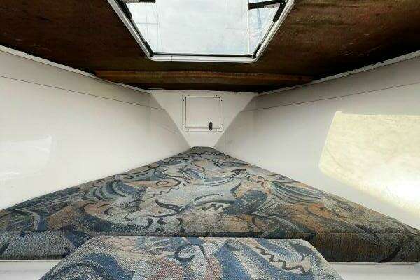 Photo of the 2000 Avanti 33